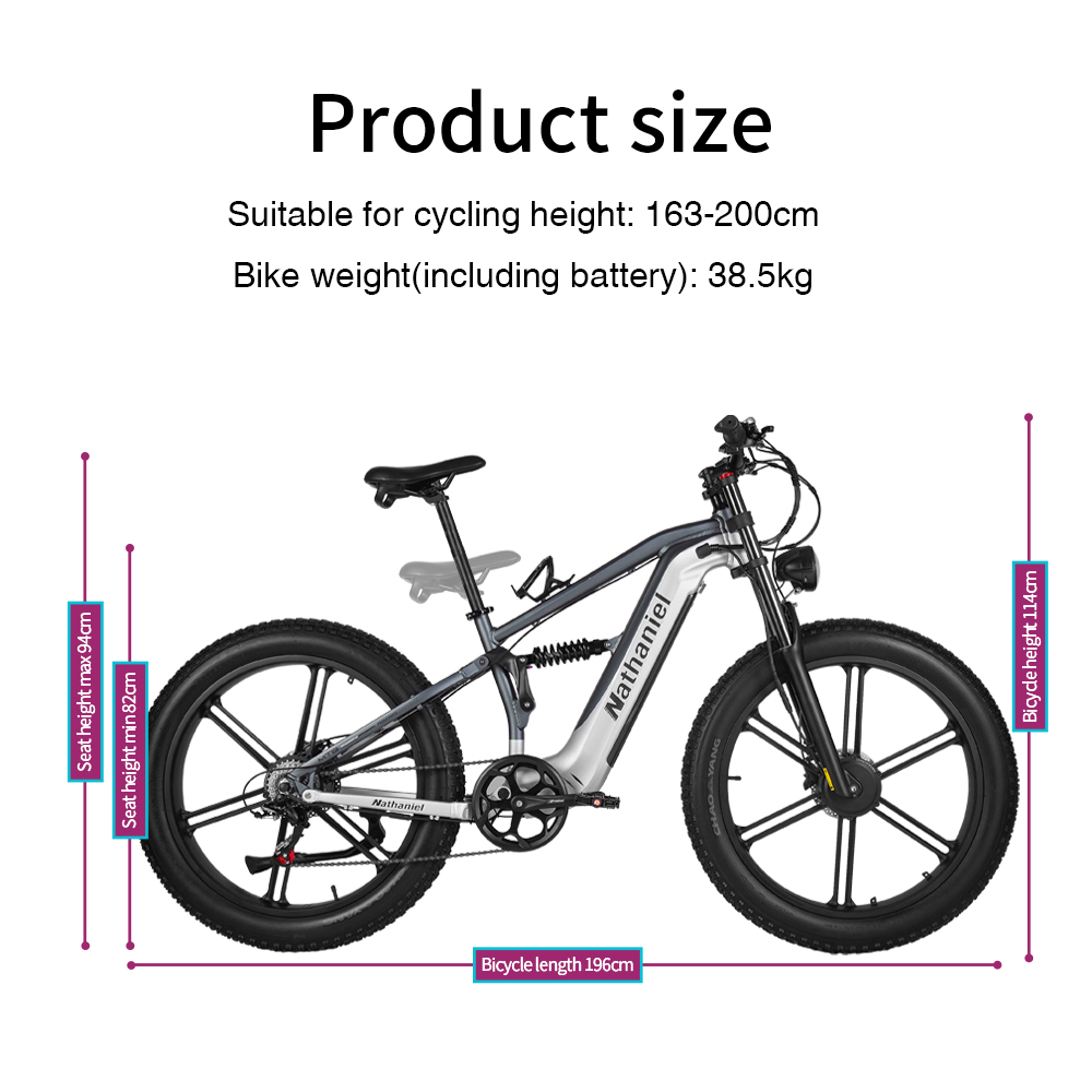 Nathaniel SYR09 Bici elettrica - Dual Motor Ebike Kit 2000W recensione e prezzo