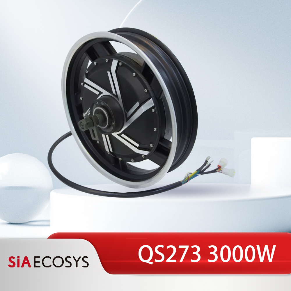 Motore Elettrico Brushless QSM - 17 Inch Motorcycle Rim Hub Motor 72V recensione e prezzo